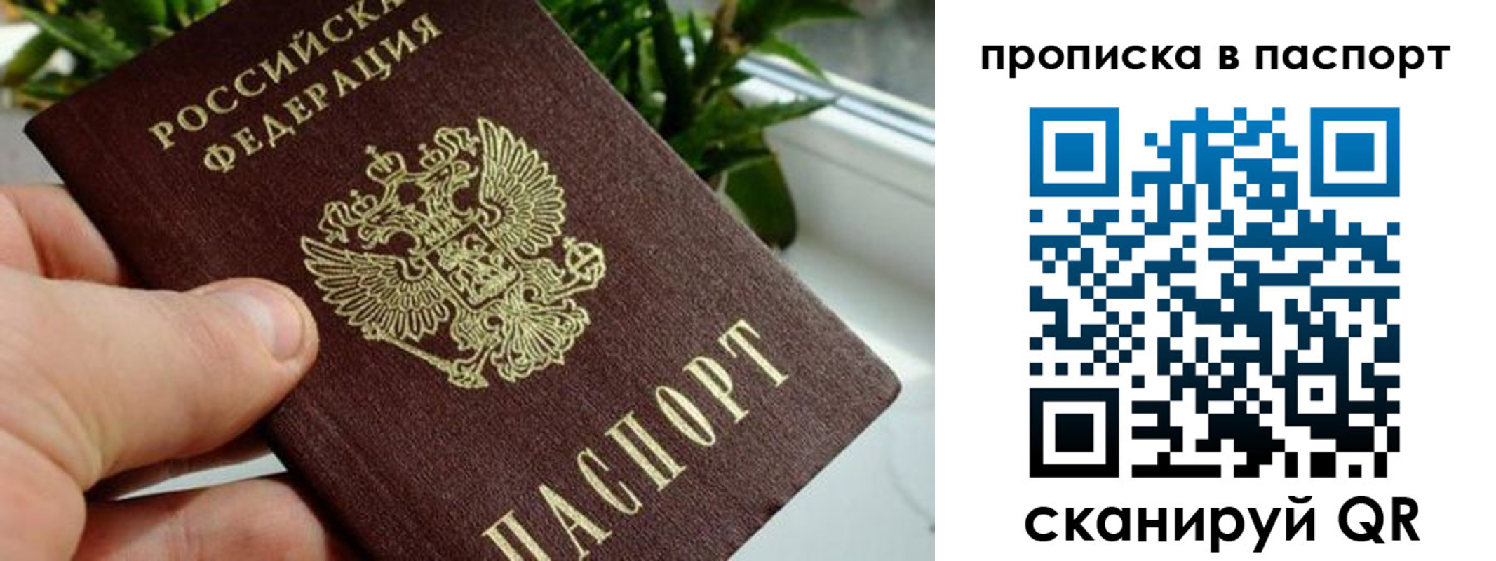 пропишу в квартире в Пугачёве